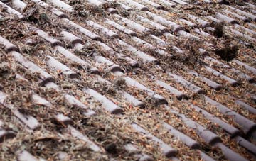 Gayles roof cleaning companies